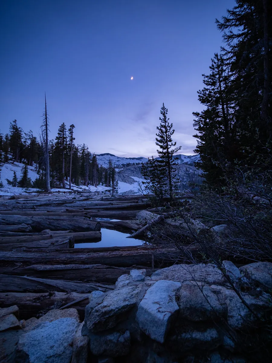 Blue dusk over a logjam and granite boulders beside a lake, pines silhouetted against the sky