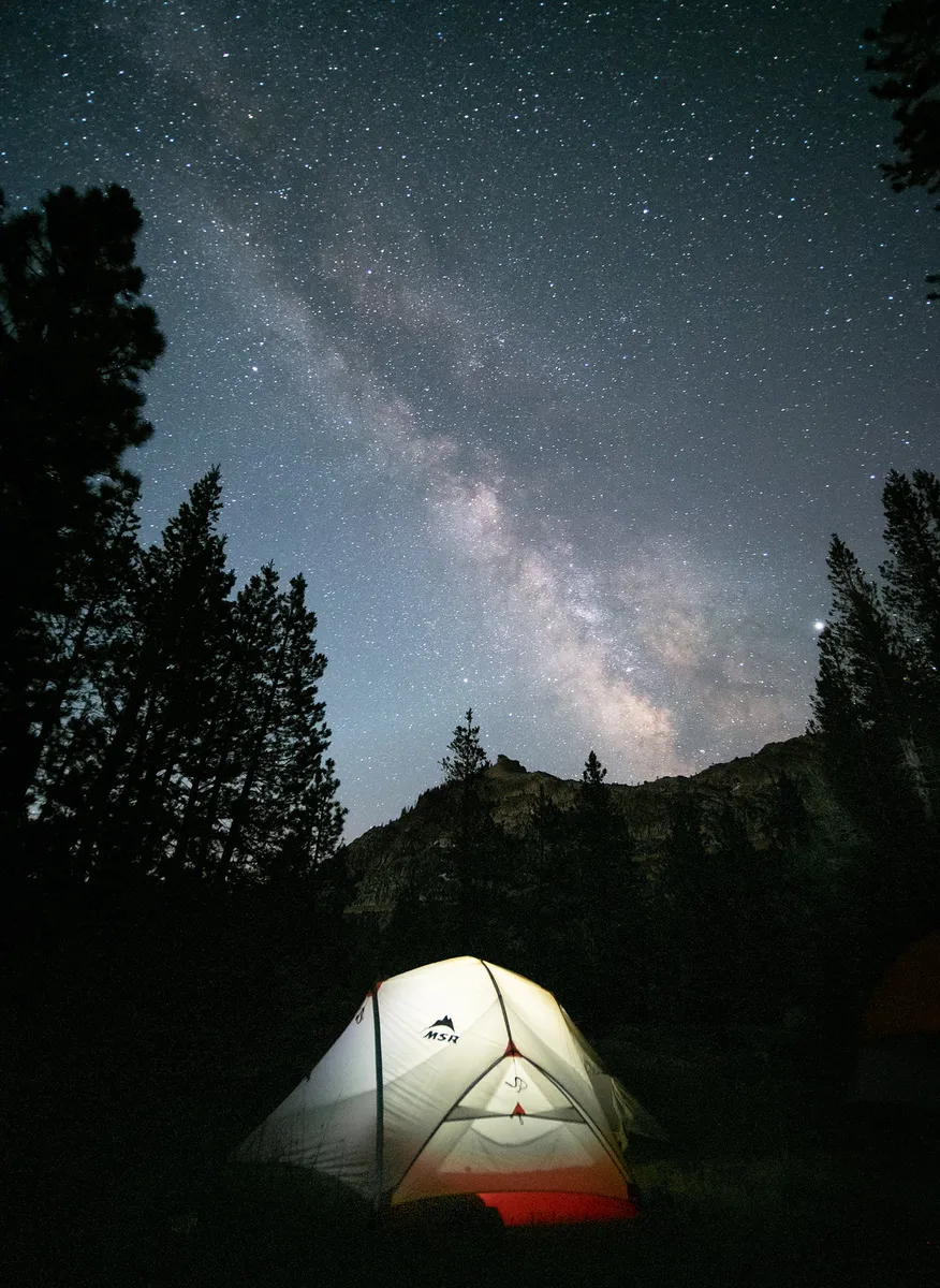 A glowing tent beneath pines and a sky full of stars and the Milky Way